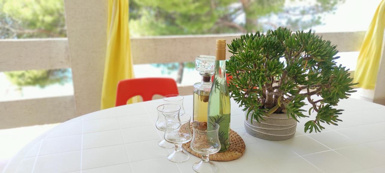 Sea Breeze Apartments With Private Beach And Boat Anchorage Stara Novalja Buitenkant foto